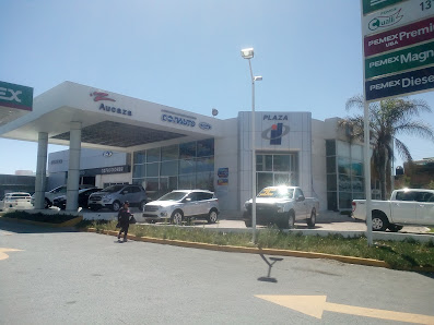 Ford Fresnillo